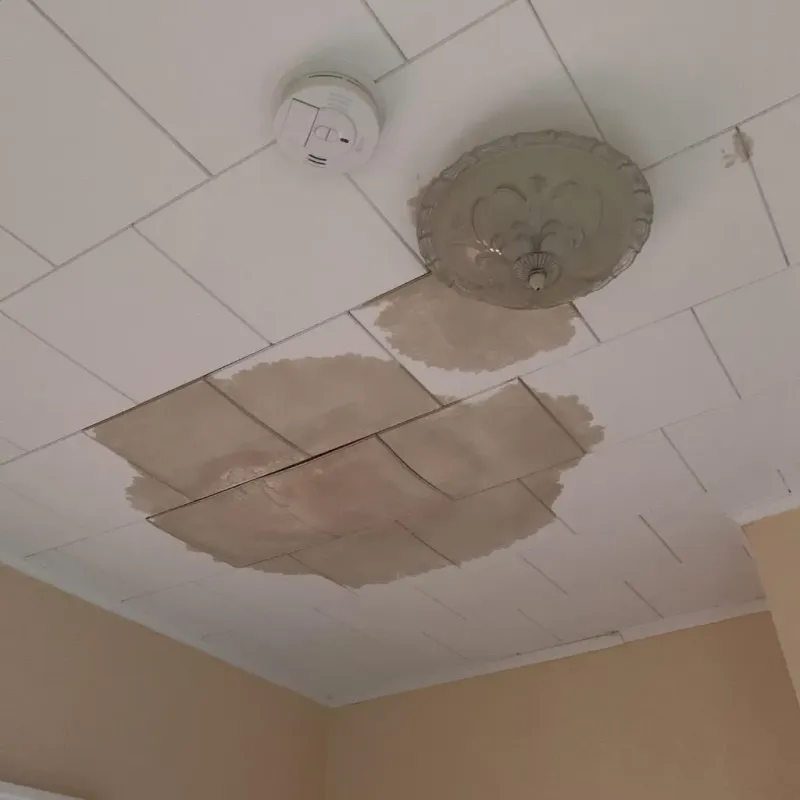 Ceiling Water Damage Repair in Byrnes Mill, MO